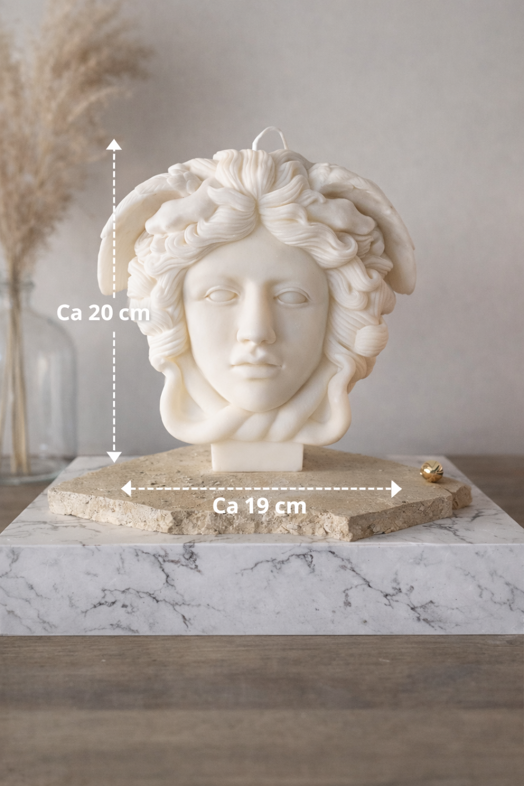 XL MEDUSA