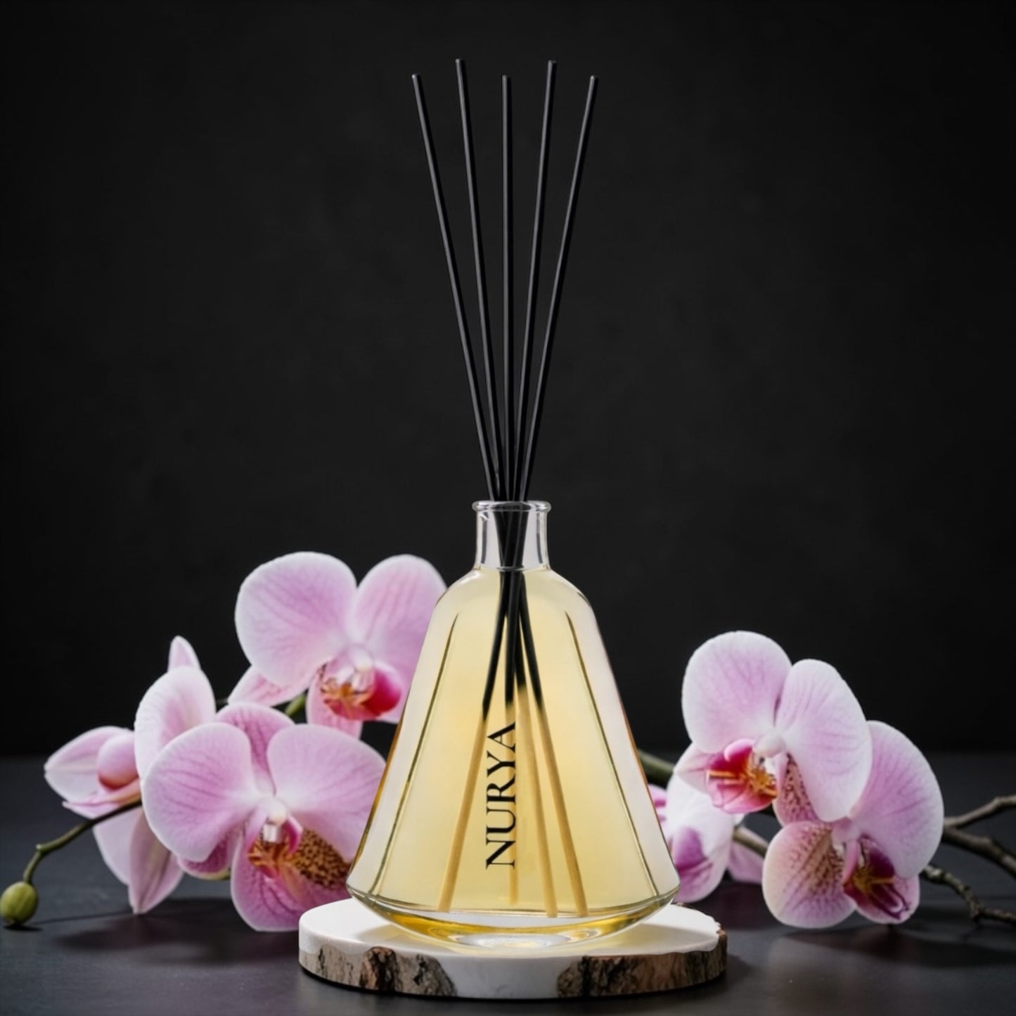 BLACK ORCHID