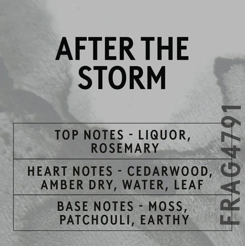 AFTER THE STORM
